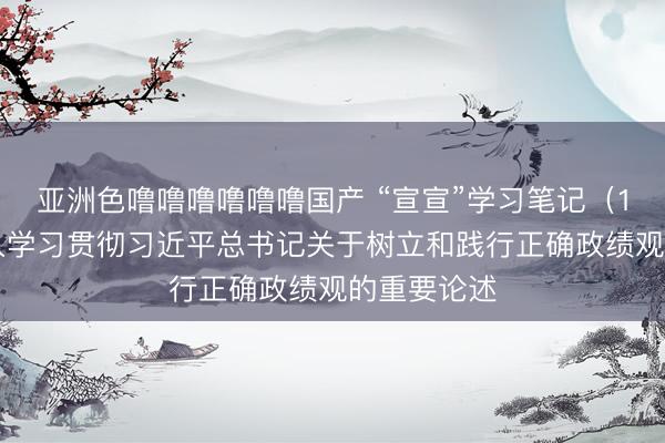 亚洲色噜噜噜噜噜噜国产 “宣宣”学习笔记（154）丨深入学习贯彻习近平总书记关于树立和践行正确政绩观的重要论述
