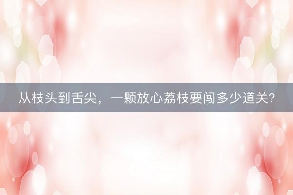 从枝头到舌尖，一颗放心荔枝要闯多少道关？