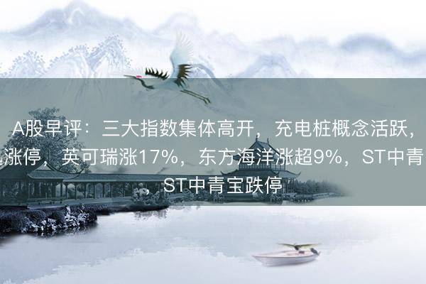 A股早评：三大指数集体高开，充电桩概念活跃，奥特迅涨停，英可瑞涨17%，东方海洋涨超9%，ST中青宝跌停