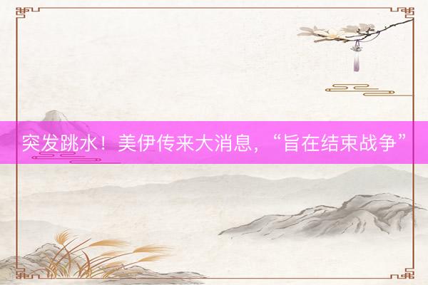 突发跳水！美伊传来大消息，“旨在结束战争”