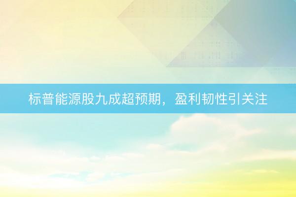 标普能源股九成超预期，盈利韧性引关注