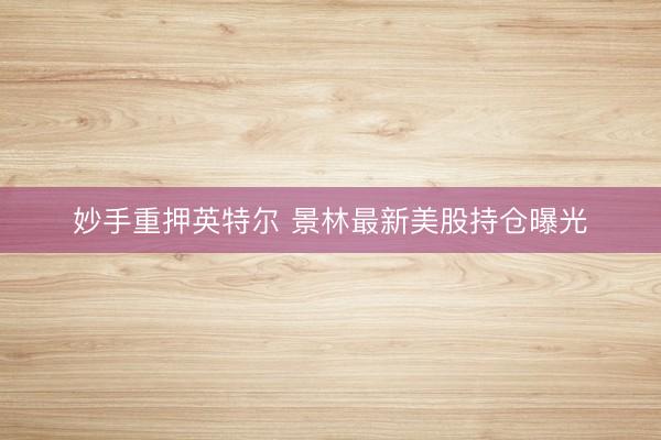 妙手重押英特尔 景林最新美股持仓曝光