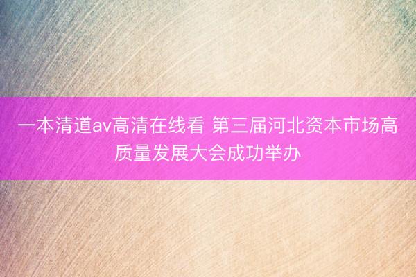 一本清道av高清在线看 第三届河北资本市场高质量发展大会成功举办