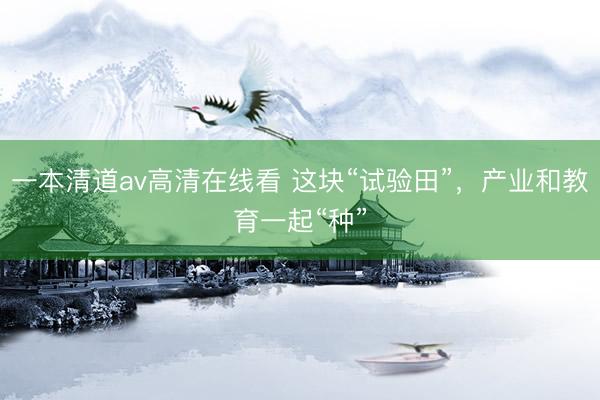 一本清道av高清在线看 这块“试验田”，产业和教育一起“种”