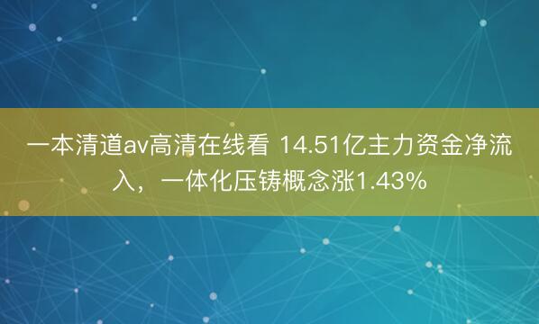 一本清道av高清在线看 14.51亿主力资金净流入，一体化压铸概念涨1.43%