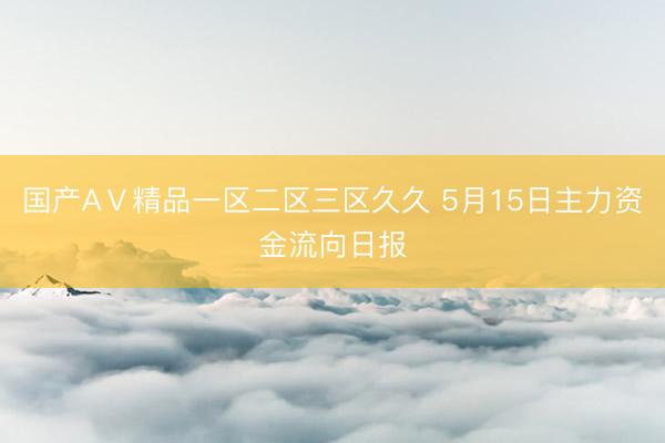 国产AⅤ精品一区二区三区久久 5月15日主力资金流向日报