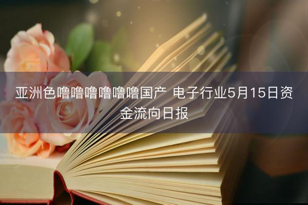 亚洲色噜噜噜噜噜噜国产 电子行业5月15日资金流向日报