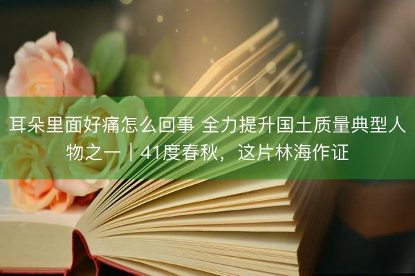 耳朵里面好痛怎么回事 全力提升国土质量典型人物之一|41度春秋,这片林海作证