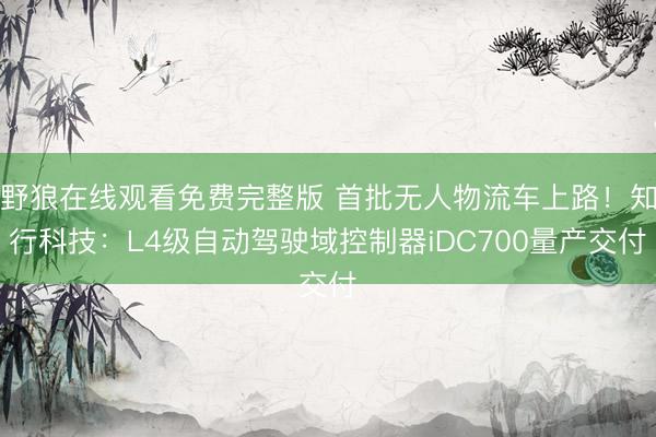 野狼在线观看免费完整版 首批无人物流车上路！知行科技：L4级自动驾驶域控制器iDC700量产交付