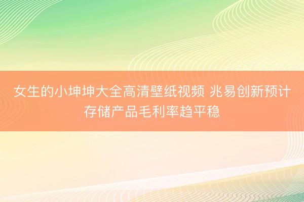 女生的小坤坤大全高清壁纸视频 兆易创新预计存储产品毛利率趋平稳