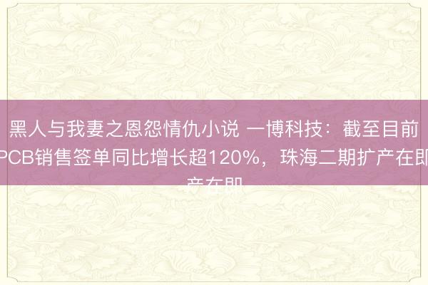 黑人与我妻之恩怨情仇小说 一博科技：截至目前PCB销售签单同比增长超120%，珠海二期扩产在即
