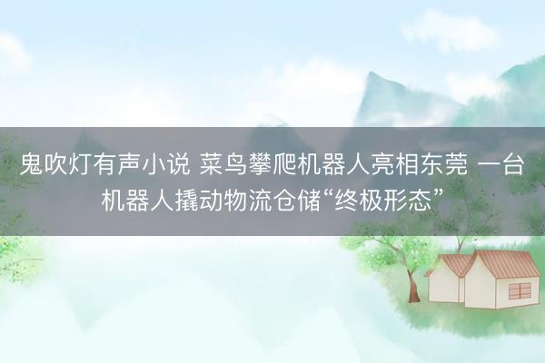鬼吹灯有声小说 菜鸟攀爬机器人亮相东莞 一台机器人撬动物流仓储“终极形态”