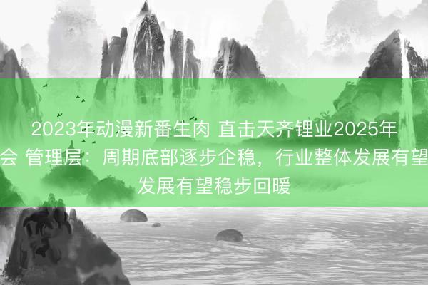 2023年动漫新番生肉 直击天齐锂业2025年年度股东会 管理层：周期底部逐步企稳，行业整体发展有望稳步回暖