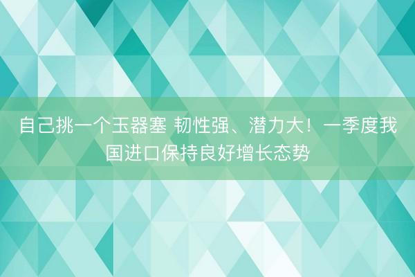 自己挑一个玉器塞 韧性强、潜力大！一季度我国进口保持良好增长态势