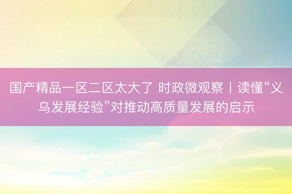 国产精品一区二区太大了 时政微观察丨读懂“义乌发展经验”对推动高质量发展的启示