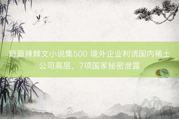 短篇辣棘文小说集500 境外企业利诱国内稀土公司高层，7项国家秘密泄露