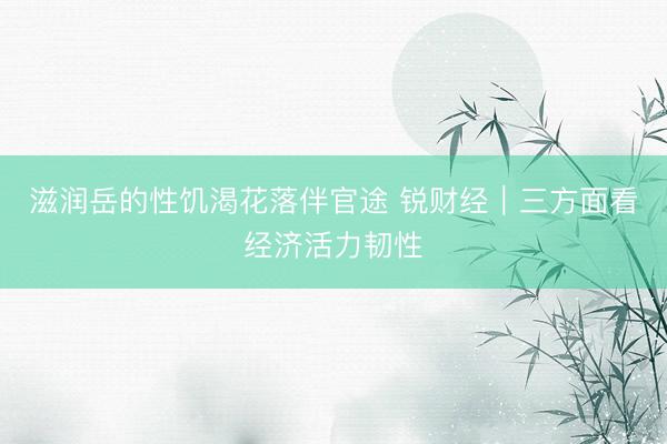 滋润岳的性饥渴花落伴官途 锐财经｜三方面看经济活力韧性