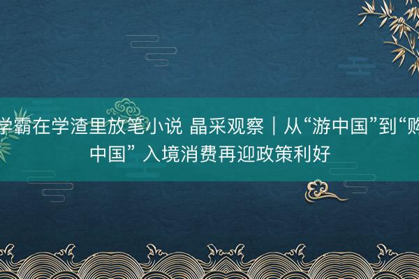学霸在学渣里放笔小说 晶采观察｜从“游中国”到“购中国” 入境消费再迎政策利好