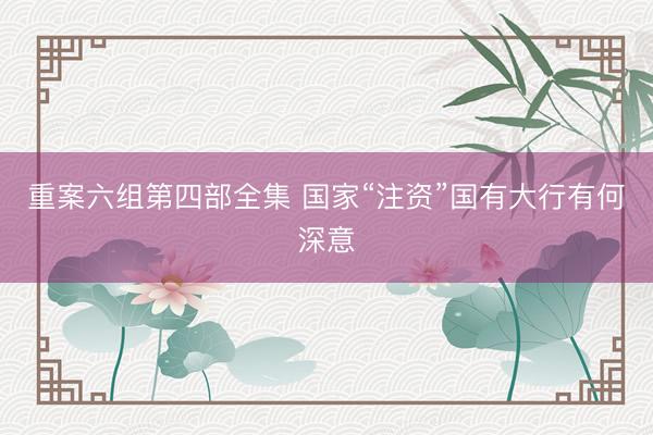 重案六组第四部全集 国家“注资”国有大行有何深意