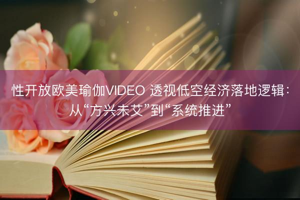 性开放欧美瑜伽VIDEO 透视低空经济落地逻辑：从“方兴未艾”到“系统推进”