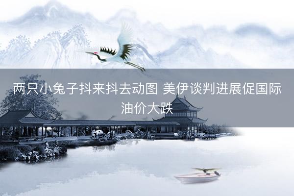 两只小兔子抖来抖去动图 美伊谈判进展促国际油价大跌