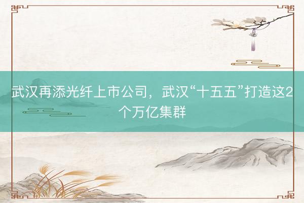 武汉再添光纤上市公司，武汉“十五五”打造这2个万亿集群