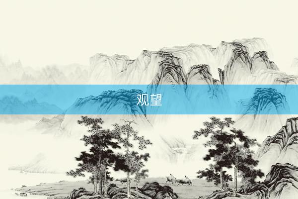 观望