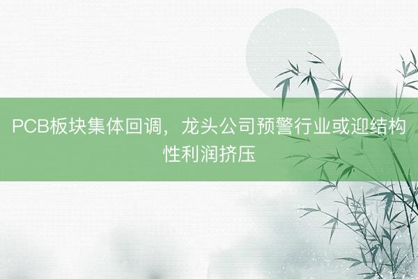 PCB板块集体回调，龙头公司预警行业或迎结构性利润挤压
