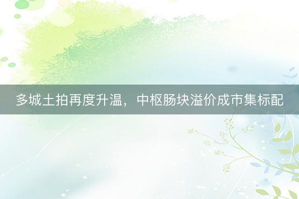 多城土拍再度升温，中枢肠块溢价成市集标配