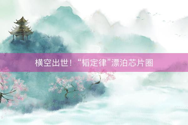 横空出世！“韬定律”漂泊芯片圈