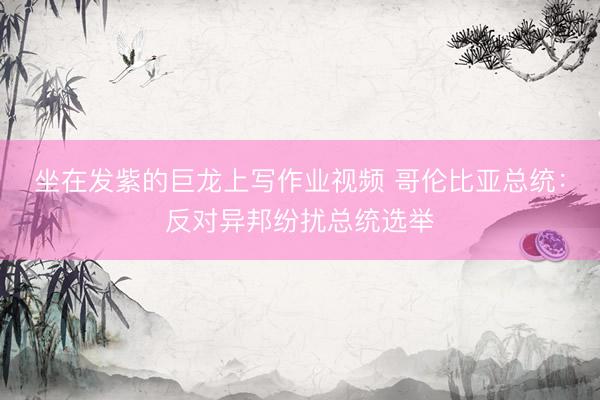 坐在发紫的巨龙上写作业视频 哥伦比亚总统：反对异邦纷扰总统选举