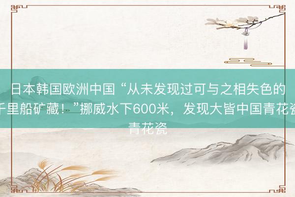 日本韩国欧洲中国 “从未发现过可与之相失色的千里船矿藏！”挪威水下600米，发现大皆中国青花瓷