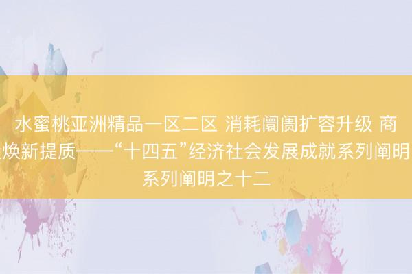 水蜜桃亚洲精品一区二区 消耗阛阓扩容升级 商贸流通焕新提质——“十四五”经济社会发展成就系列阐明之十二