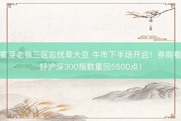 蜜芽老狼三区忘忧草大豆 牛市下半场开启！券商看好沪深300指数重回5500点！