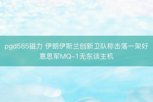 pgd585磁力 伊朗伊斯兰创新卫队称击落一架好意思军MQ-1无东谈主机