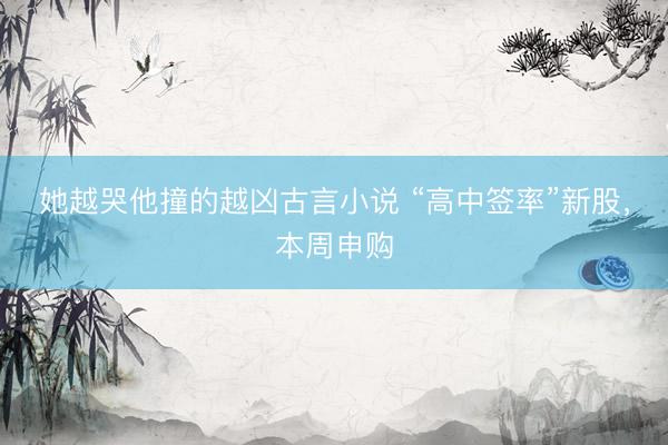 她越哭他撞的越凶古言小说 “高中签率”新股，本周申购