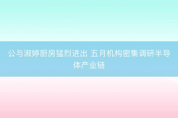 公与淑婷厨房猛烈进出 五月机构密集调研半导体产业链