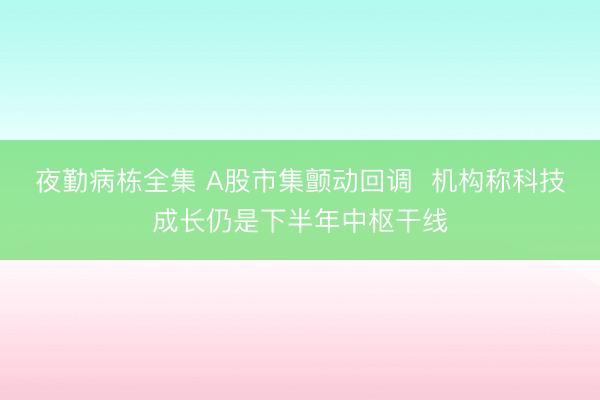 夜勤病栋全集 A股市集颤动回调 机构称科技成长仍是下半年中枢干线