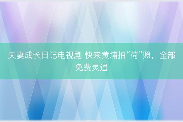 夫妻成长日记电视剧 快来黄埔拍“荷”照，全部免费灵通