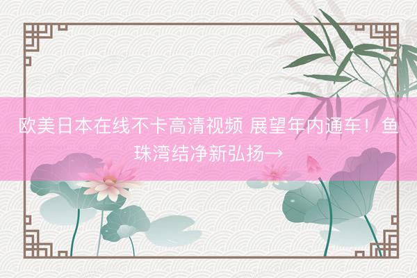 欧美日本在线不卡高清视频 展望年内通车!鱼珠湾结净新弘扬→