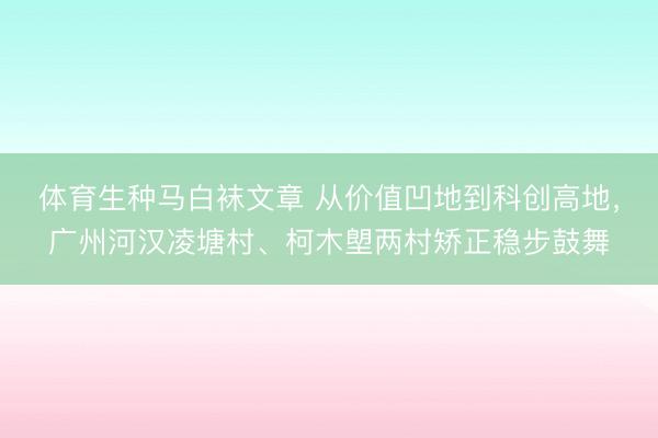 体育生种马白袜文章 从价值凹地到科创高地，广州河汉凌塘村、柯木塱两村矫正稳步鼓舞