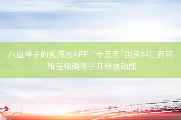 八重神子的乳液图APP “十五五”国资纠正启幕 所在精确落子开释强动能