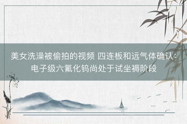美女洗澡被偷拍的视频 四连板和远气体确认：电子级六氟化钨尚处于试坐褥阶段