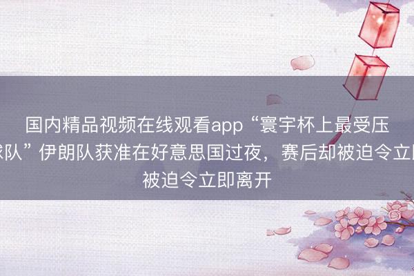 国内精品视频在线观看app “寰宇杯上最受压迫的球队” 伊朗队获准在好意思国过夜，赛后却被迫令立即离开