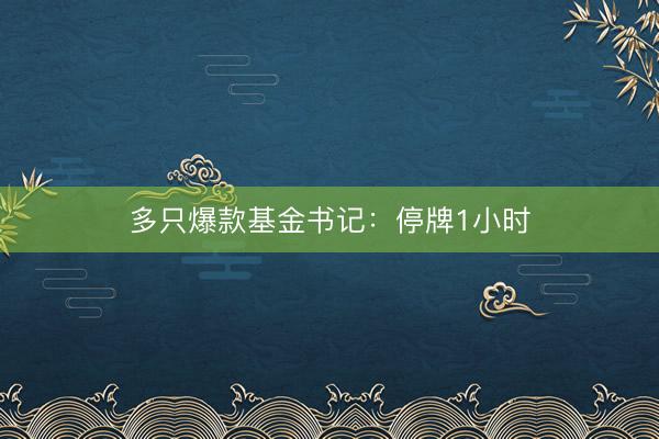 多只爆款基金书记：停牌1小时
