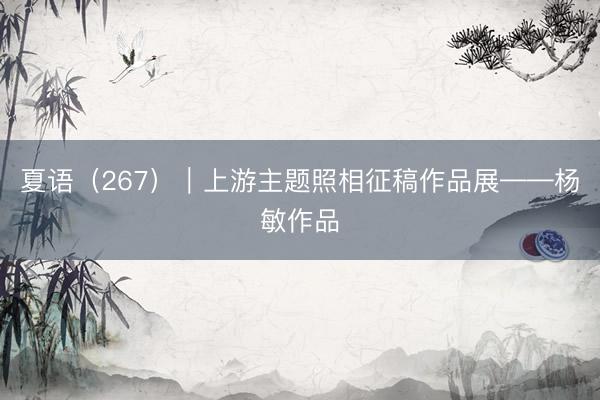 夏语（267）｜上游主题照相征稿作品展——杨敏作品