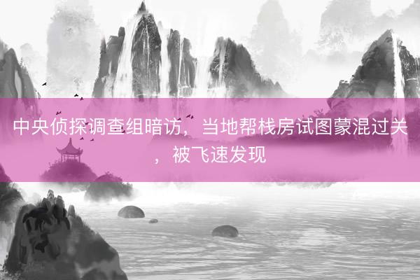 中央侦探调查组暗访，当地帮栈房试图蒙混过关，被飞速发现