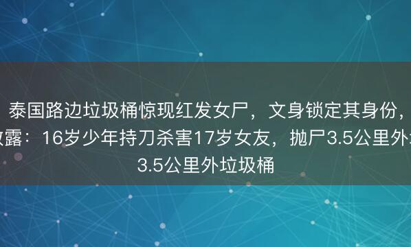 泰国路边垃圾桶惊现红发女尸,文身锁定其身份,案件败露:16岁少年持刀杀害17岁女友,抛尸3.5公里外垃圾桶